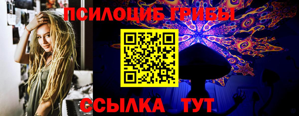 Галлюциногенные грибы Psilocybine cubensis Луховицы